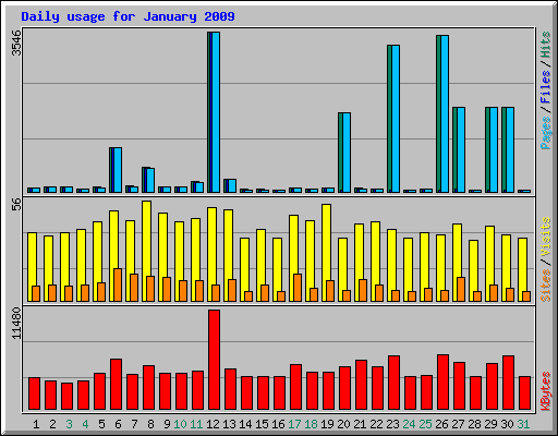 Daily usage for January 2009