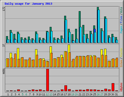 Daily usage for January 2013