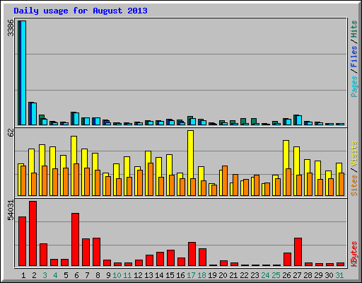 Daily usage for August 2013
