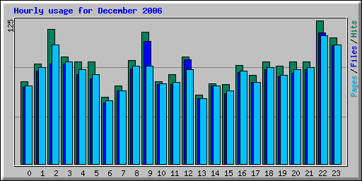 Hourly usage for December 2006