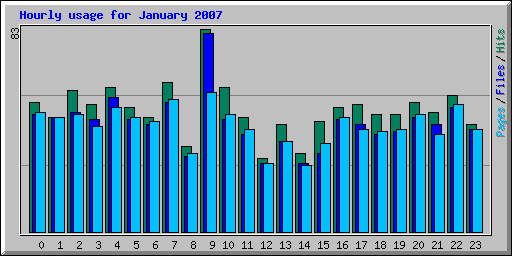 Hourly usage for January 2007