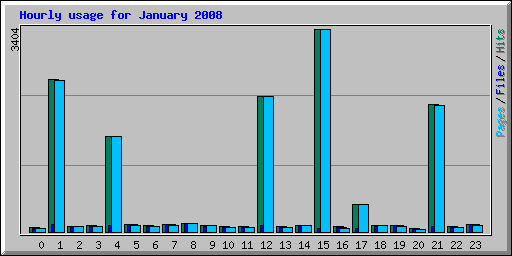 Hourly usage for January 2008