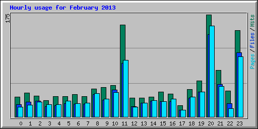 Hourly usage for February 2013