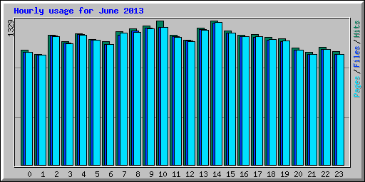 Hourly usage for June 2013