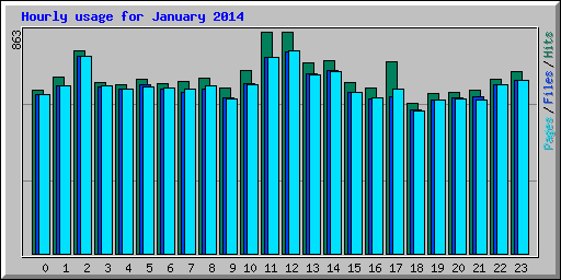 Hourly usage for January 2014