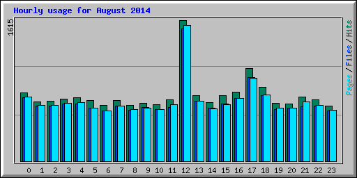 Hourly usage for August 2014