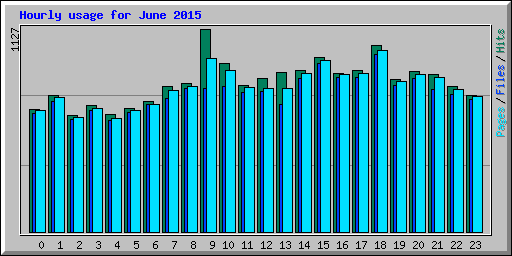 Hourly usage for June 2015