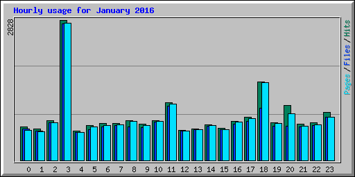Hourly usage for January 2016