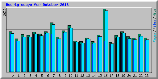 Hourly usage for October 2016