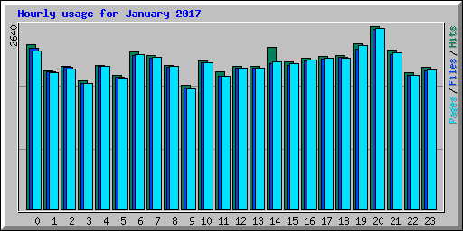 Hourly usage for January 2017