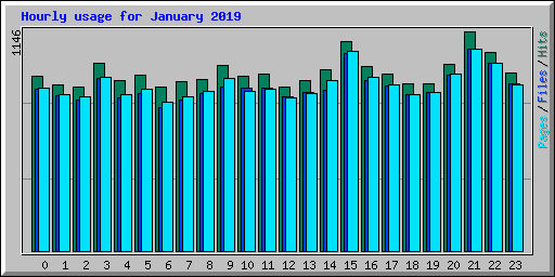 Hourly usage for January 2019