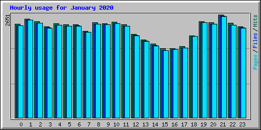 Hourly usage for January 2020