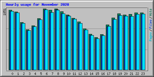 Hourly usage for November 2020