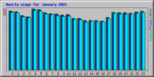 Hourly usage for January 2021